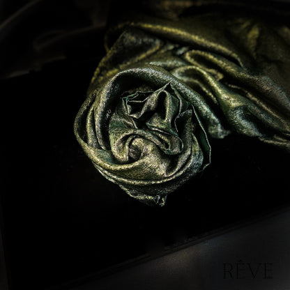 DREAM Limited Edition